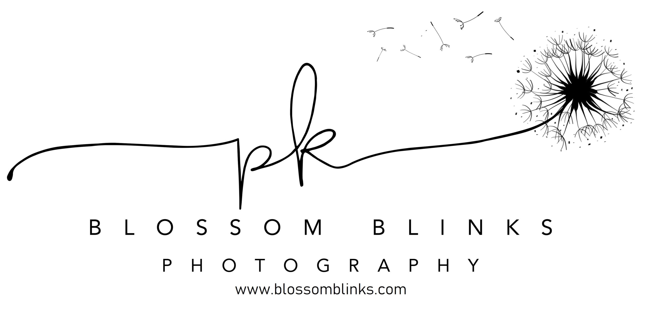 Blossom Blinks Photography logo